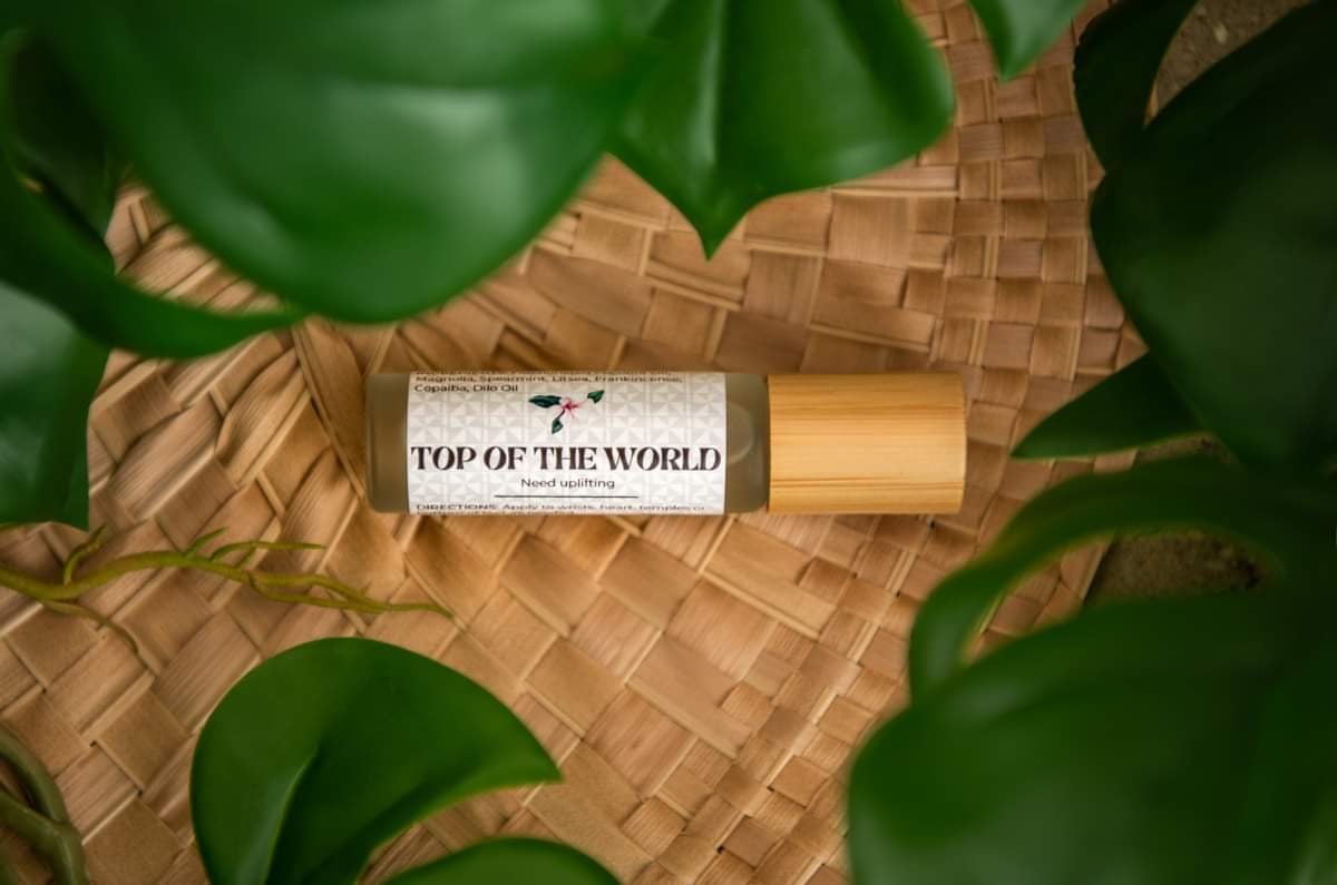 English - Top of the World
